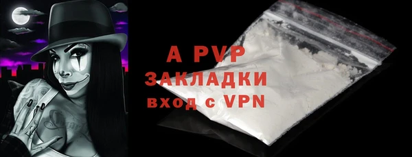 сатива Белокуриха