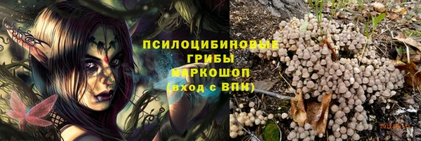 винт Аркадак