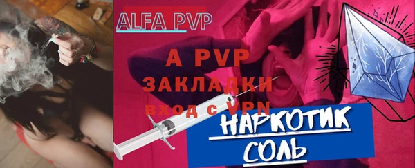 сатива Белокуриха