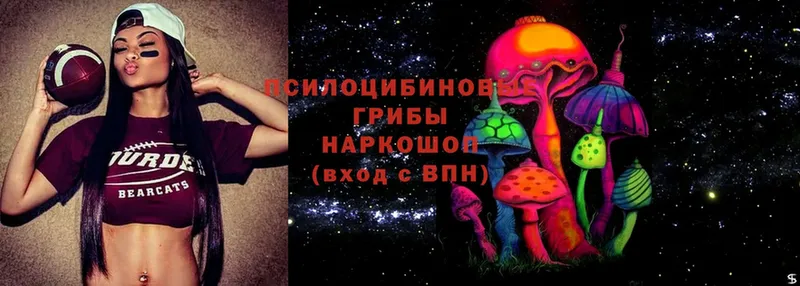 купить наркоту  Дальнегорск  Псилоцибиновые грибы Psilocybe 