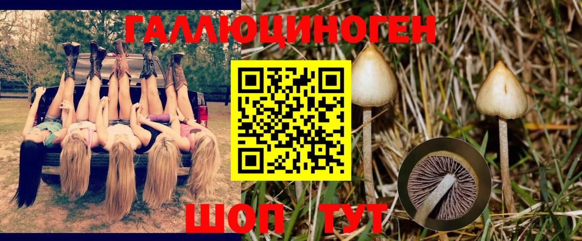 Галлюциногенные грибы мухоморы  Дальнегорск  Галлюциногенные грибы Magic Shrooms 