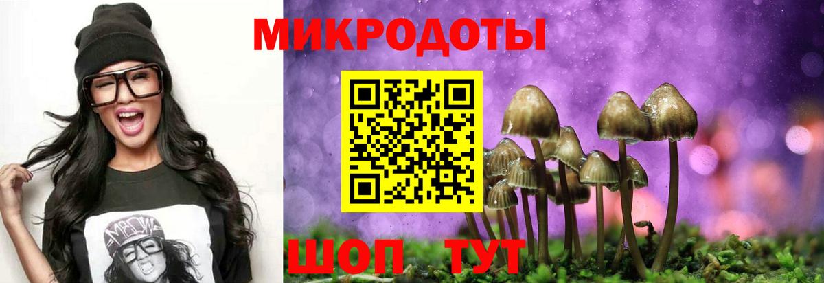 Псилоцибиновые грибы MAGIC MUSHROOMS Дальнегорск