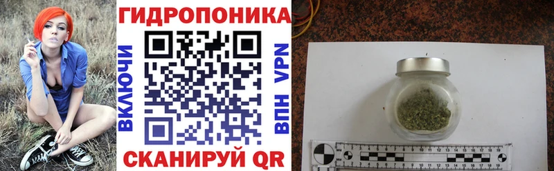 Бошки Шишки конопля  Дальнегорск 